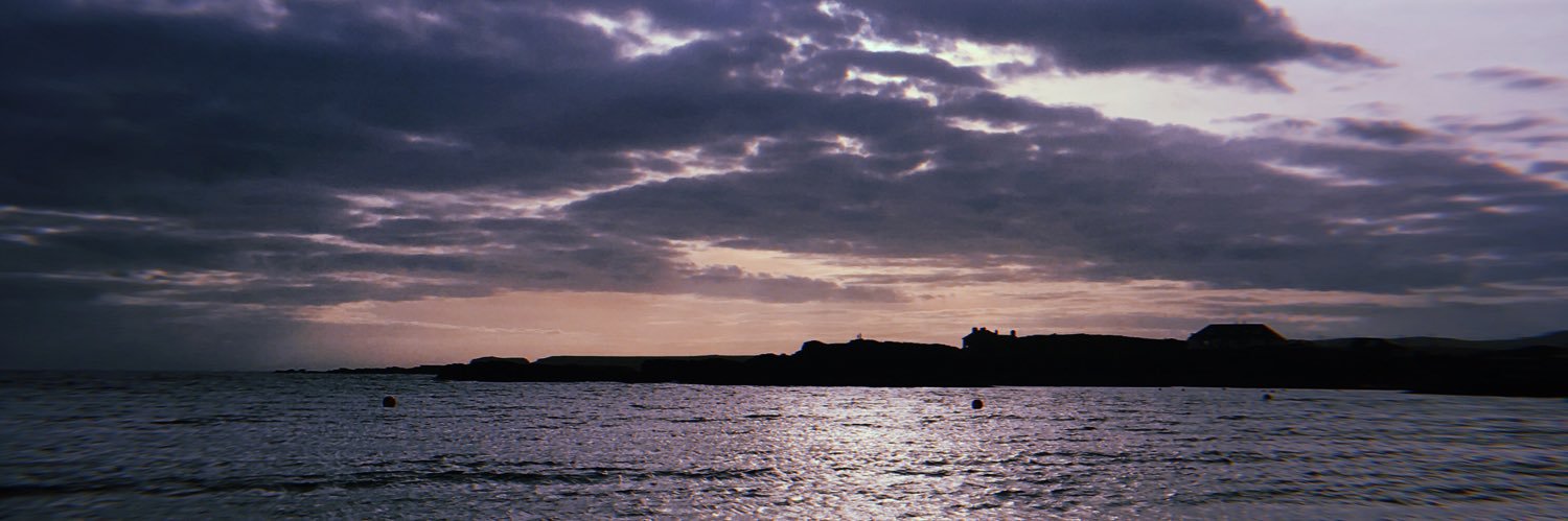 Millie Thomas banner