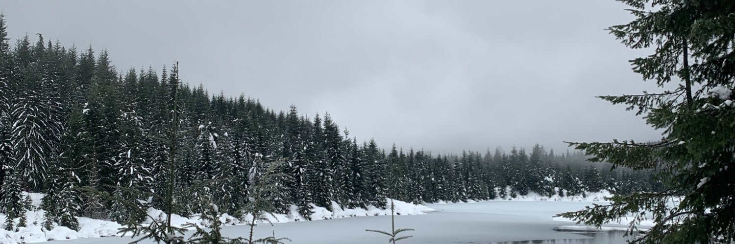 MorganLasko's profile banner image