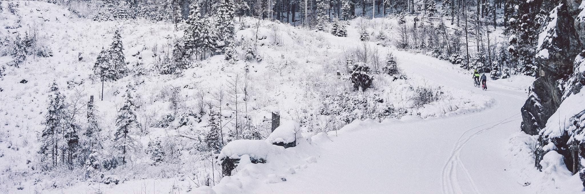 dvnder's profile banner image