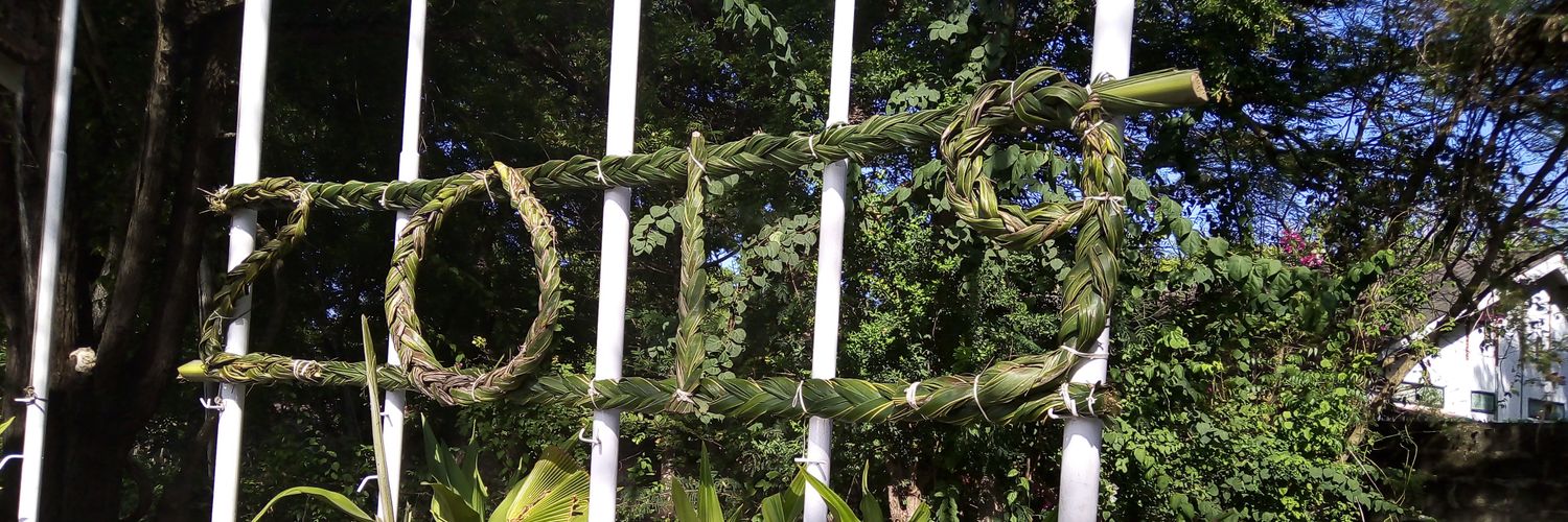 Cheryl Andisi banner