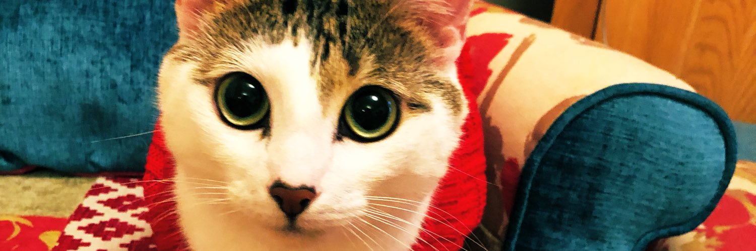 millersarah3's profile banner image