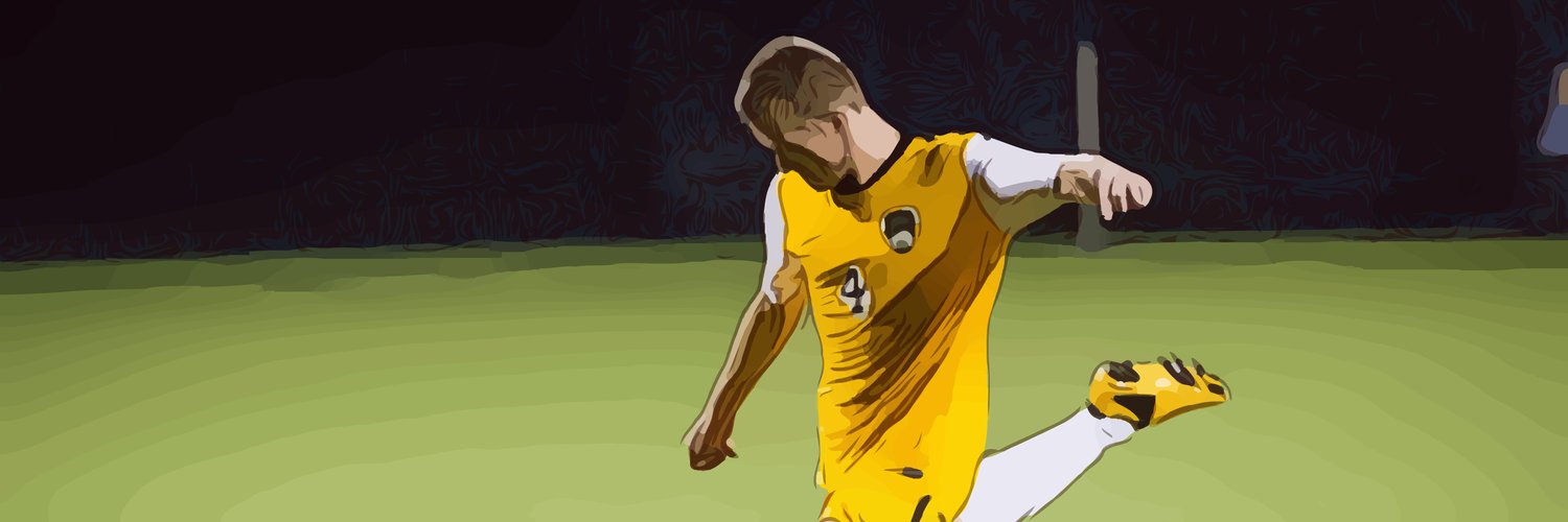Gavin Colton 🇮🇪 banner