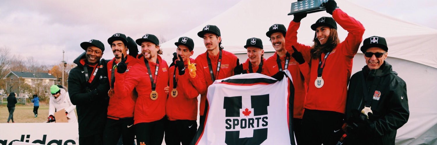 Stefan Daniel banner