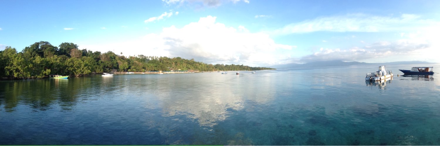 Inspector Goggles banner