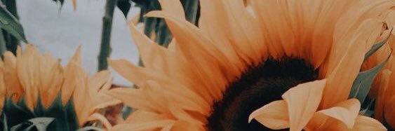 a_hbi562's profile banner image