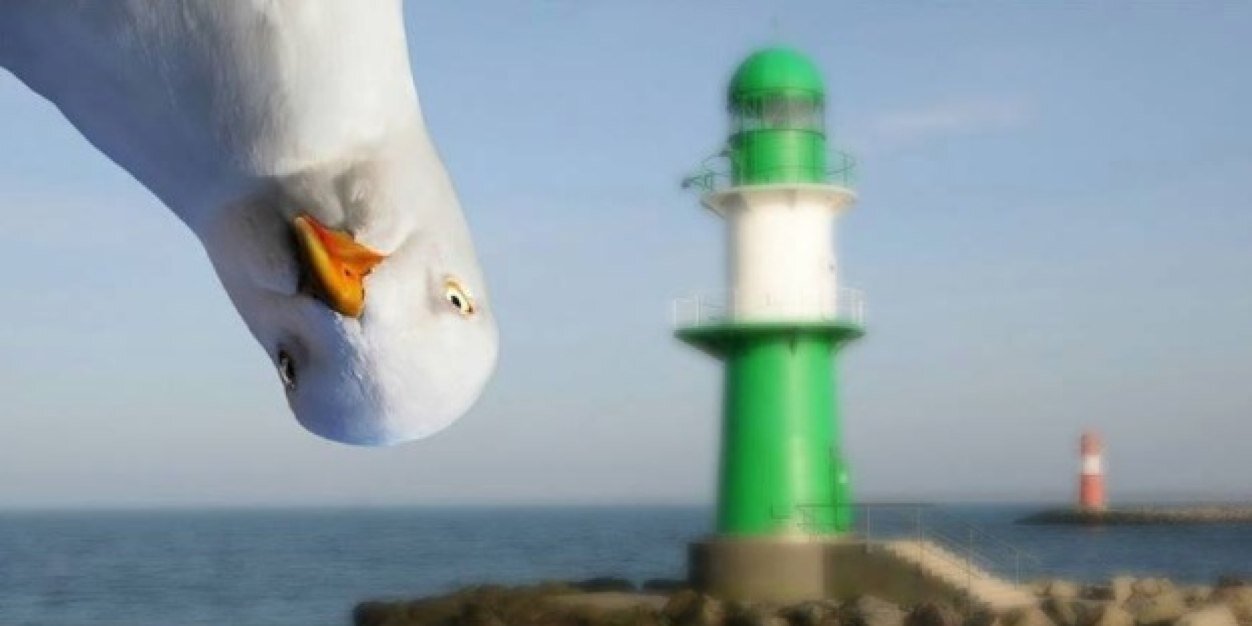 Zeliha Dağhan banner