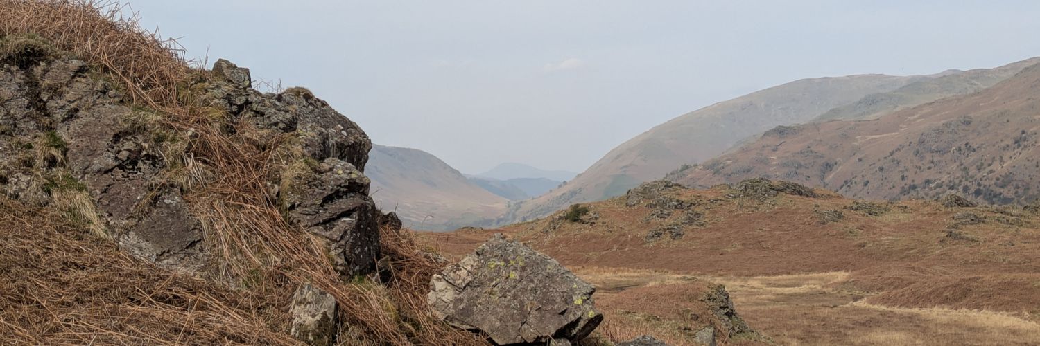 D_Hendo's profile banner image
