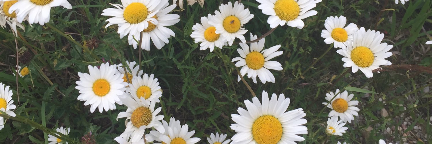emmanemethh's profile banner image