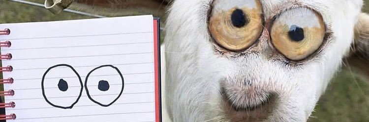 elrorockero's profile banner image