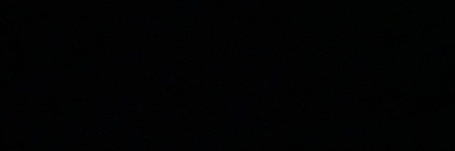 leeledutra's profile banner image