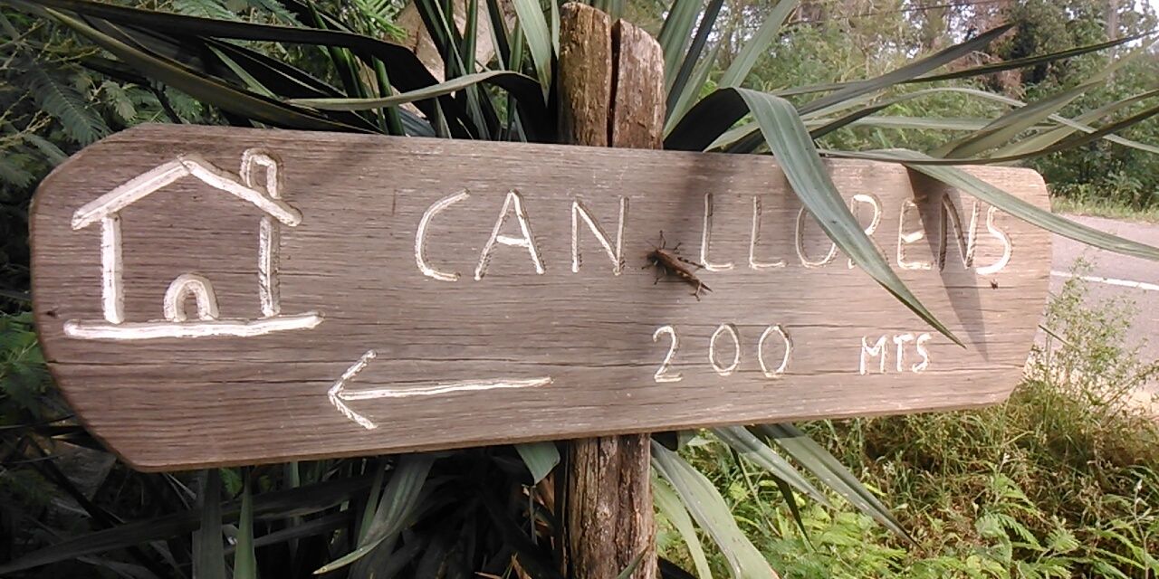 CanLlorens's profile banner image