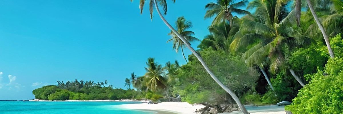 allmaciel's profile banner image