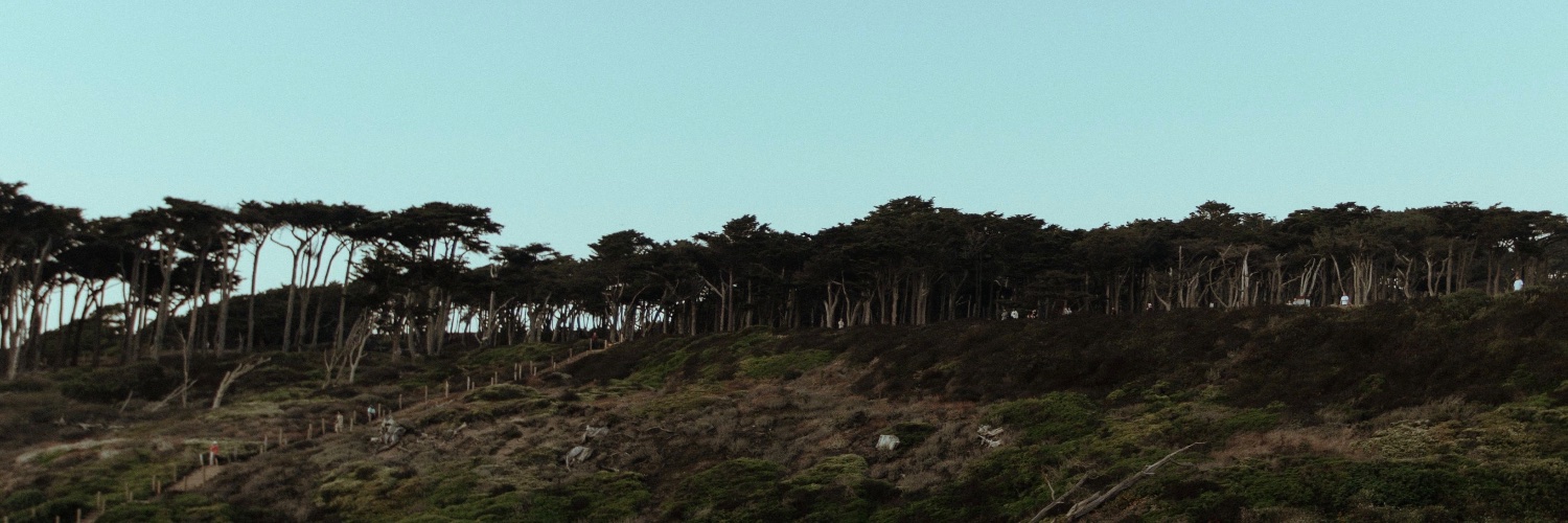 Brycon banner