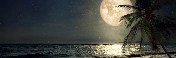 Notas del Alma banner