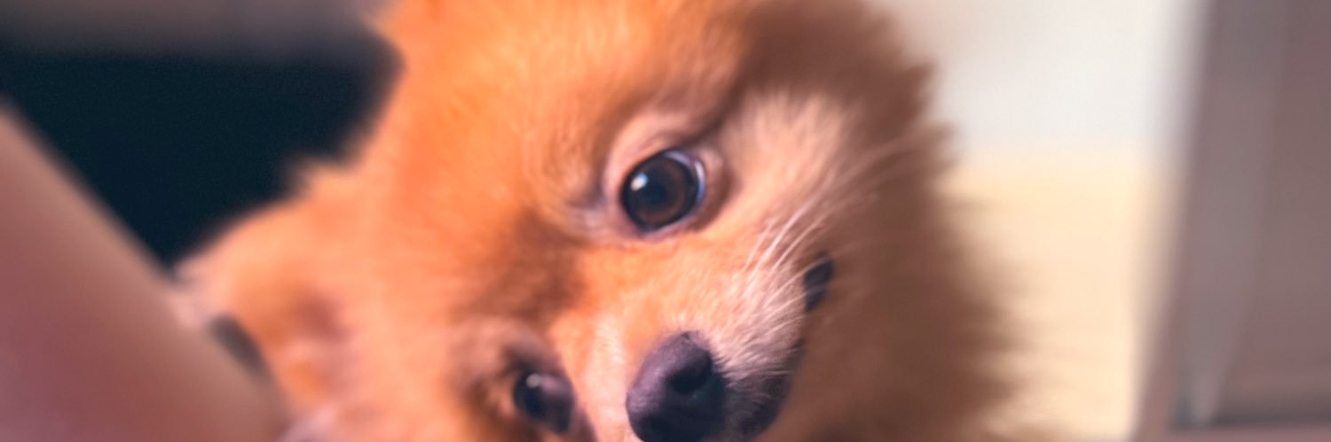 yourbandit1's profile banner image
