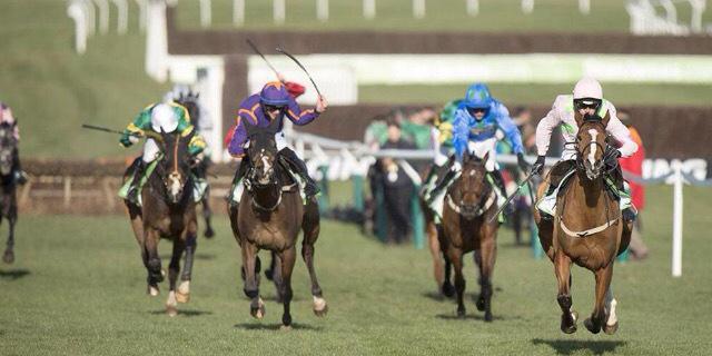 Finlay Taylor banner