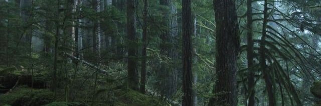 thykvothe's profile banner image