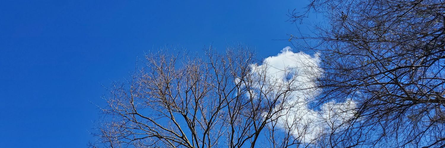 Anne Emery Badders banner