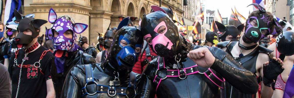 Shiny Pup banner