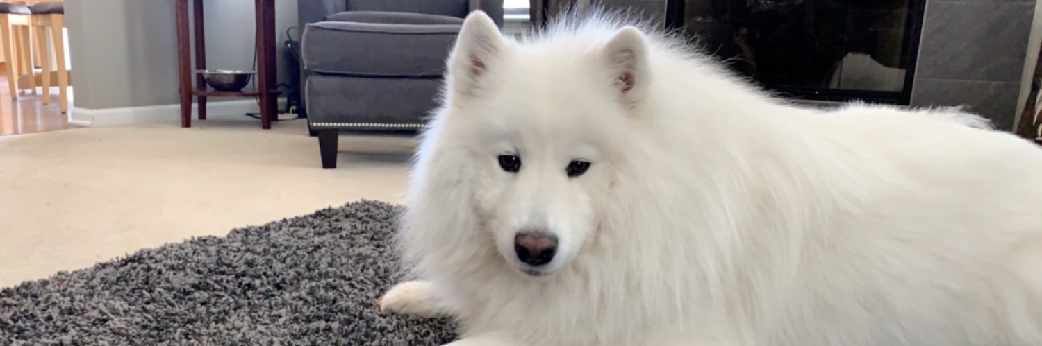 Blake Robertson banner