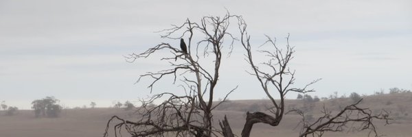 outakilta Profile Banner