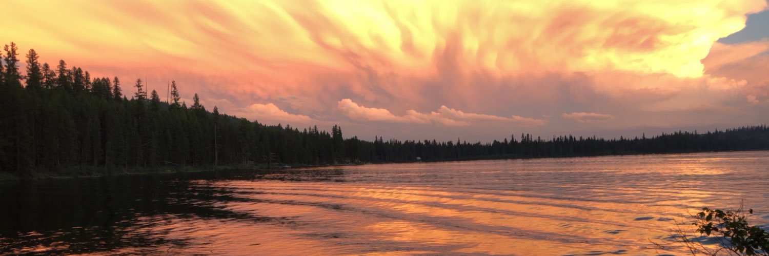 taystoeger's profile banner image