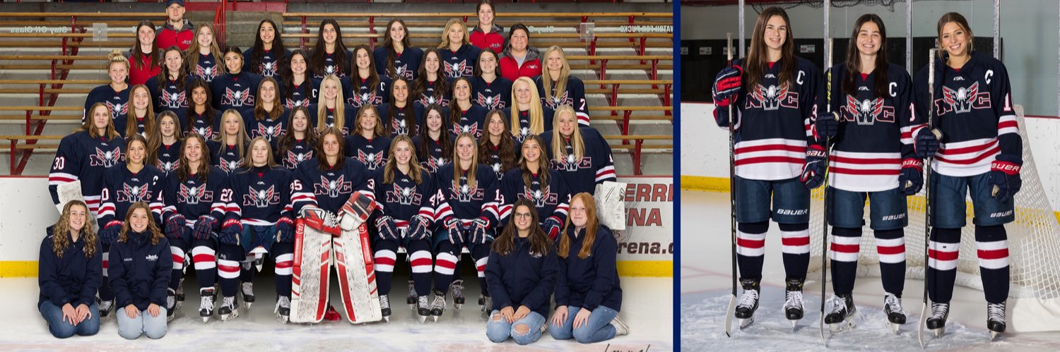 RiverHawks HS Hockey banner