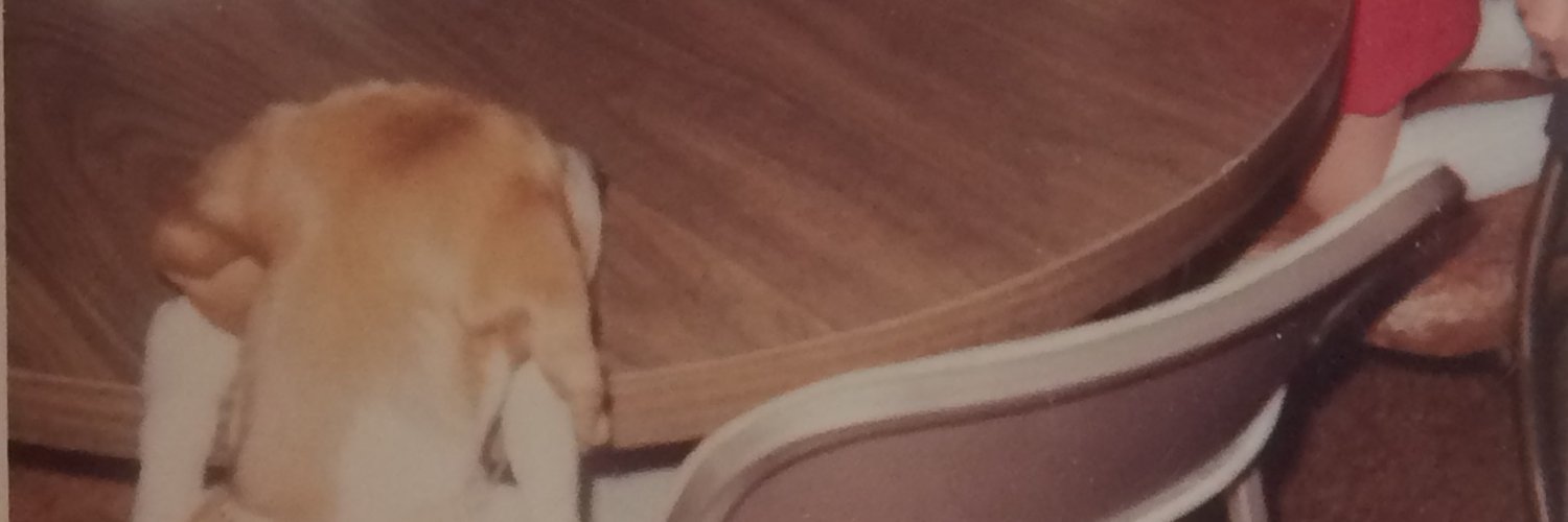 joelnorthwall's profile banner image