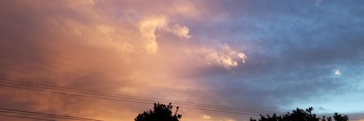 Benjamín Mijares banner