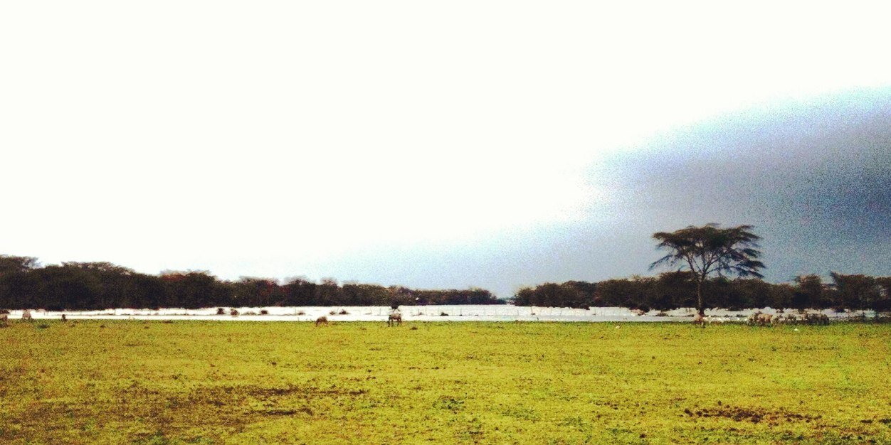 Javier Marín banner