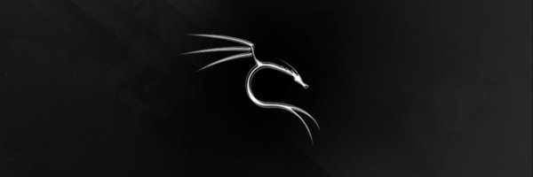 VGlassis Profile Banner