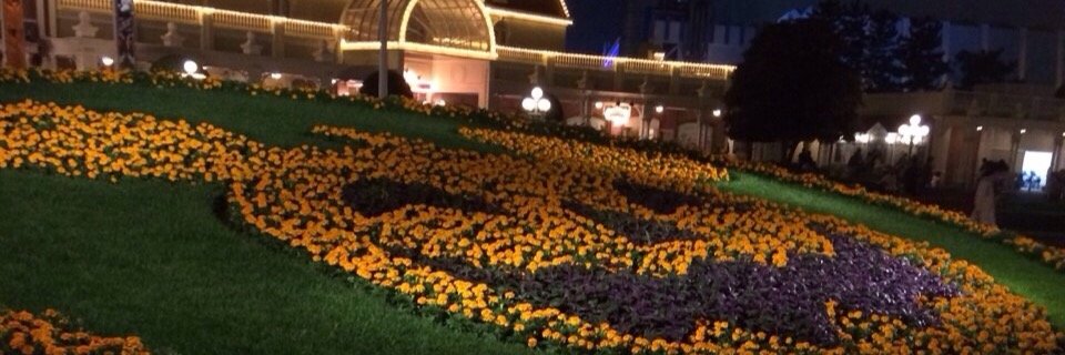 COCO03211's profile banner image