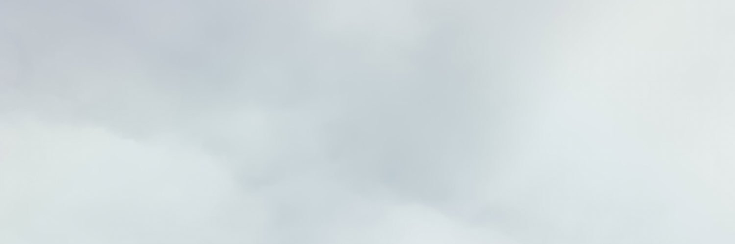daviklering's profile banner image