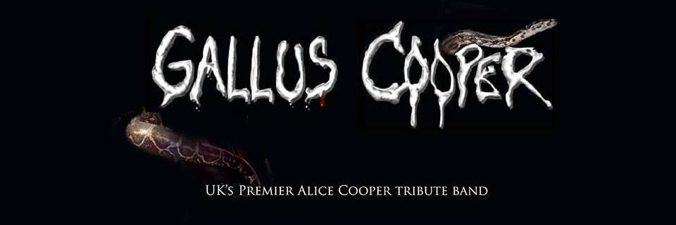 GallusCooper_'s profile banner image