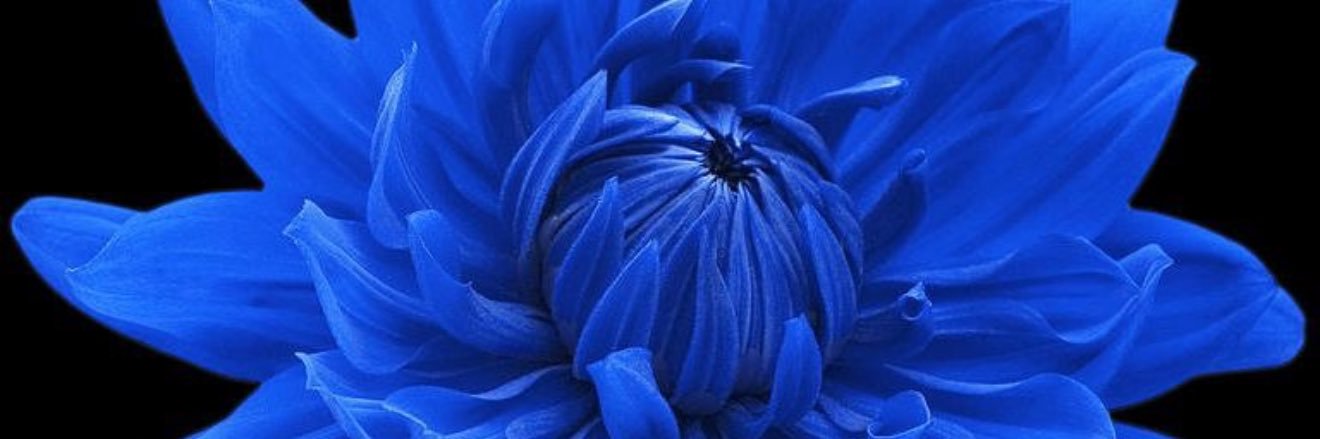 DeeDee16392's profile banner image