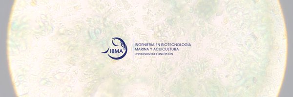 IBMA_UdeC Profile Banner