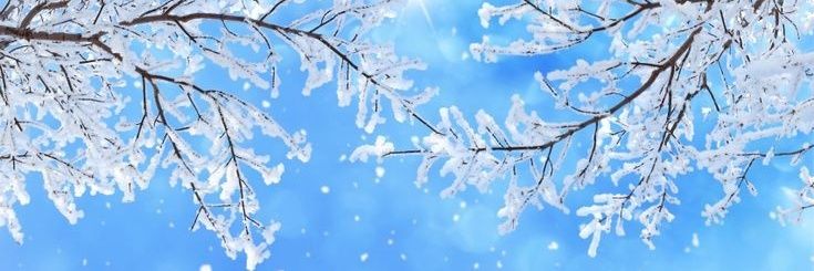 Morphemesbynour's profile banner image