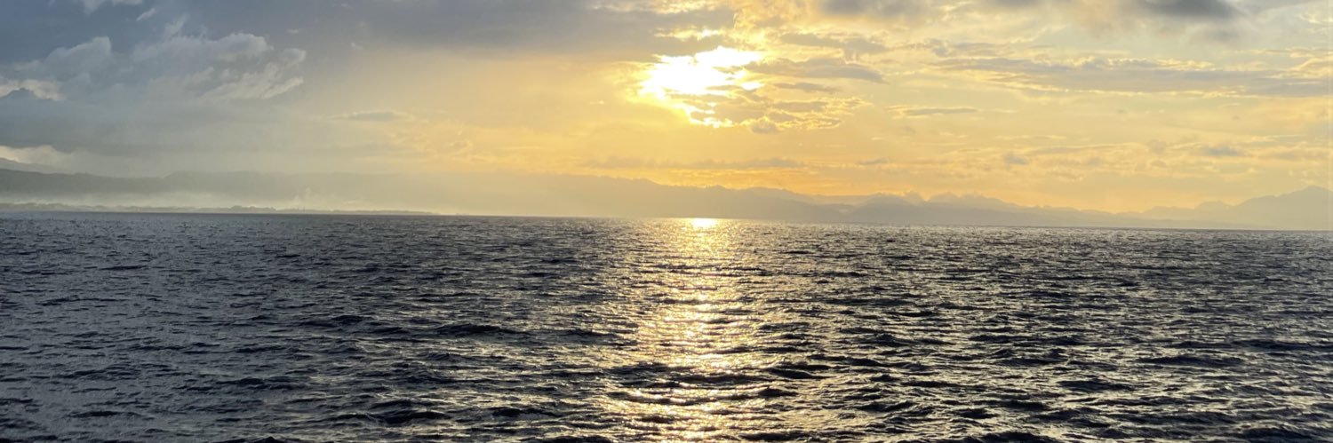 adechodel99's profile banner image