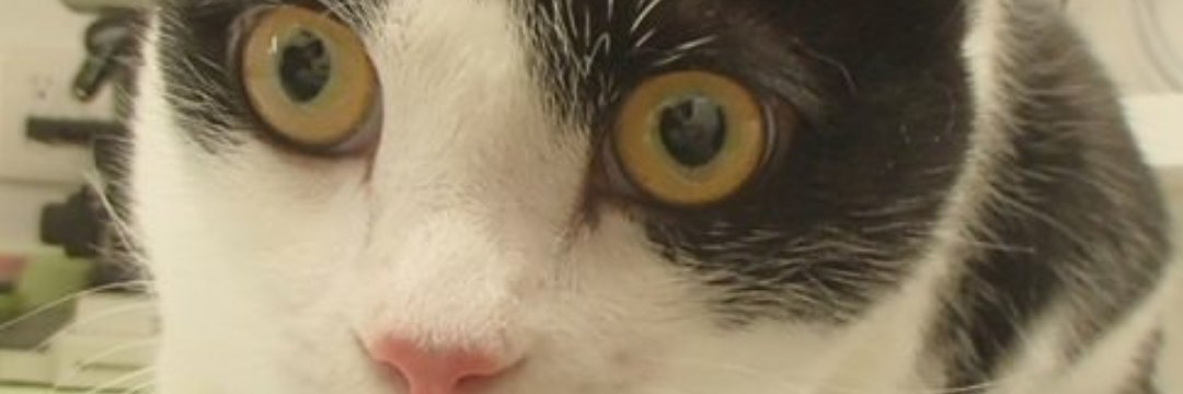 walker_blue_'s profile banner image