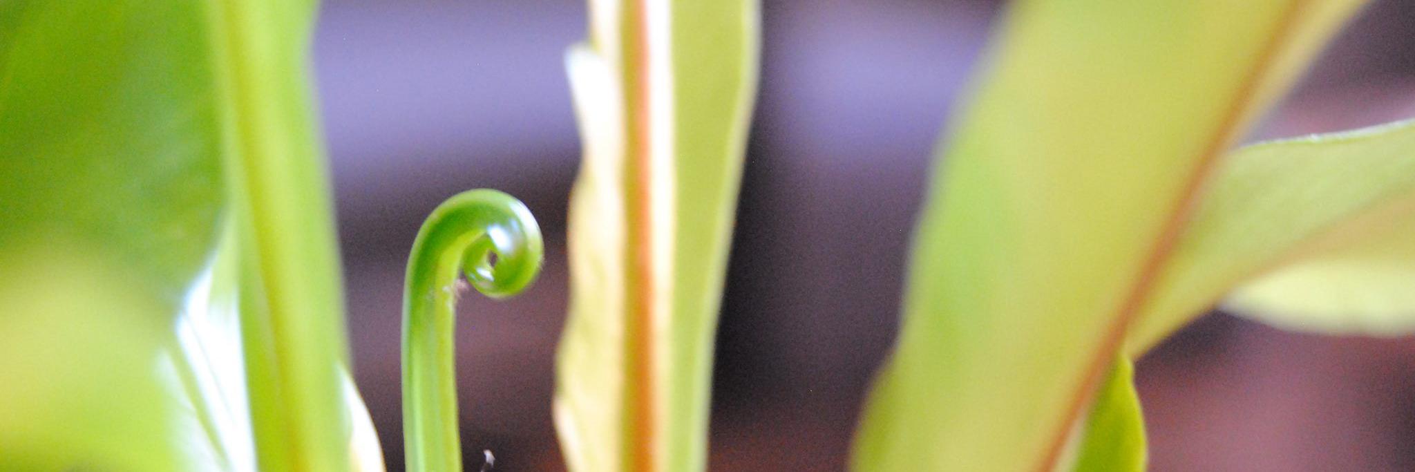 ECotid's profile banner image