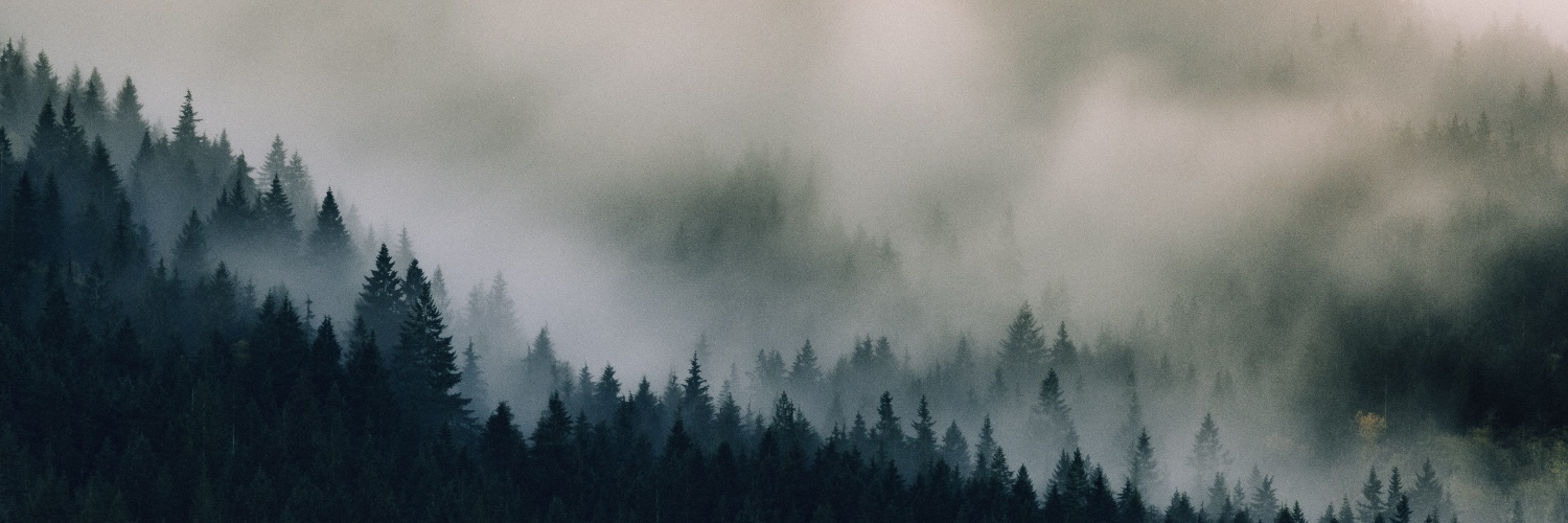 glensears's profile banner image