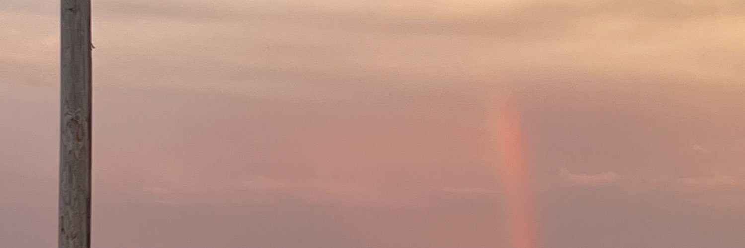 MadisonPucci's profile banner image