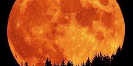 tr5850's profile banner image