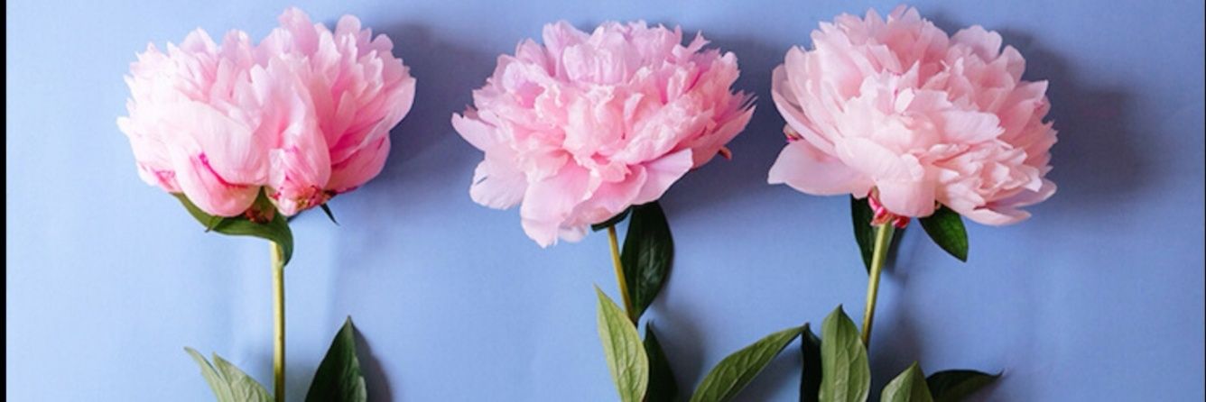 _gatsby_'s profile banner image