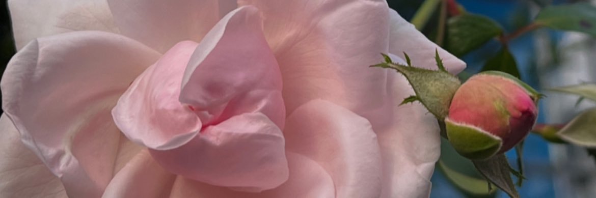 _jesszgomez's profile banner image