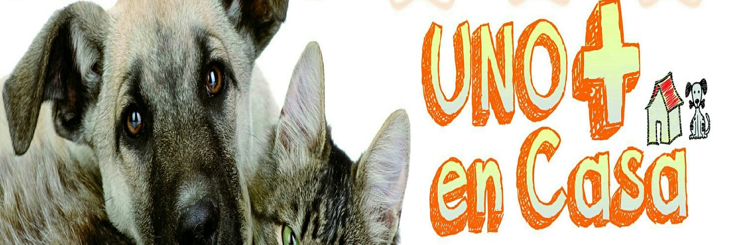 UnoMasCTV's profile banner image