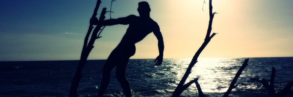 James007Greyver Profile Banner