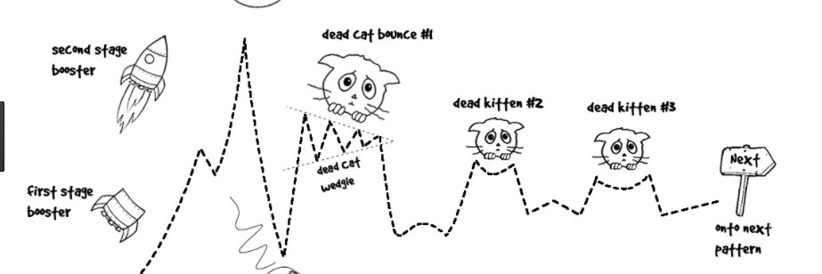shillteam6's profile banner image