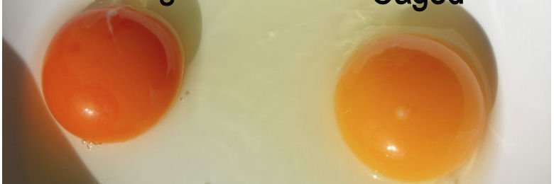 LCHFRN's profile banner image