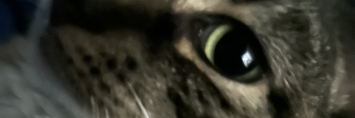 BrysonKobe's profile banner image